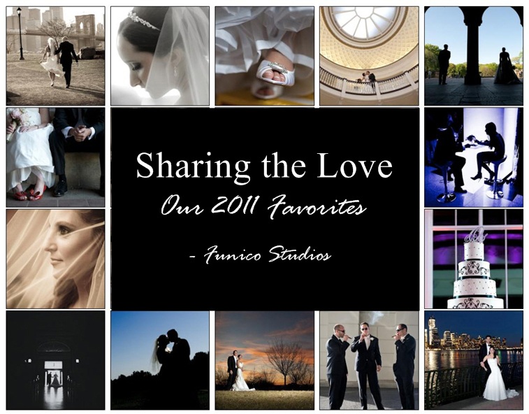 Best of 2011 logo - web new york wedding photographers 2011 favorites